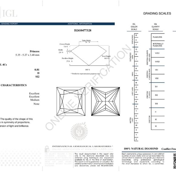 Princess Mined Diamond Pendant 14K White 0.81 Ct D Si2 Igl C52200046 - Picture 4 of 5